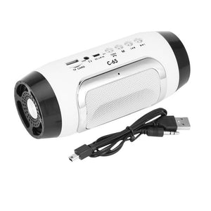 C-65 Mini Portable Wireless Speaker